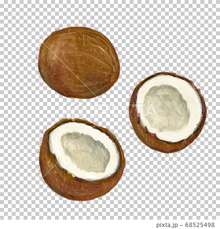 ココナッツ 68525498