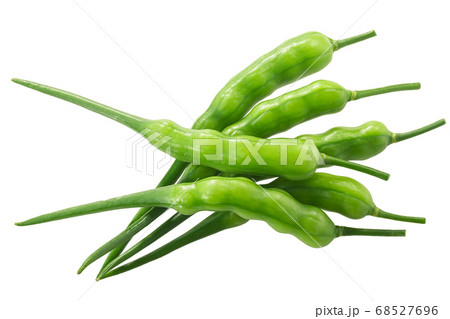 Radish pods (Raphanus sativus silique) isolated on Radish pods (Raphanus sativus silique) isolated on 68527696