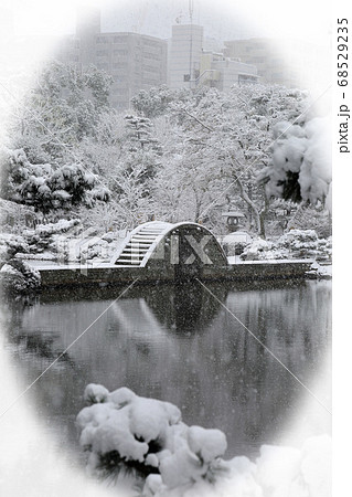 冬の縮景園 68529235