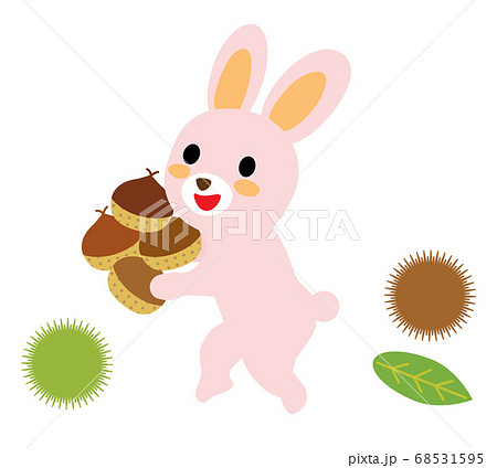 栗拾いをする可愛いウサギ 68531595
