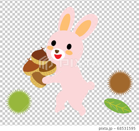 可愛的兔子撿栗子 68531595