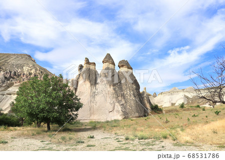 Fairy Chimney or Multihead stone mushrooms, 68531786