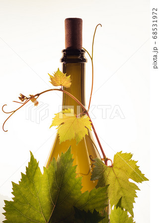 Bottle of wine corc cap grape leaves branch Bottle of wine corc cap grape leaves branch 68531972