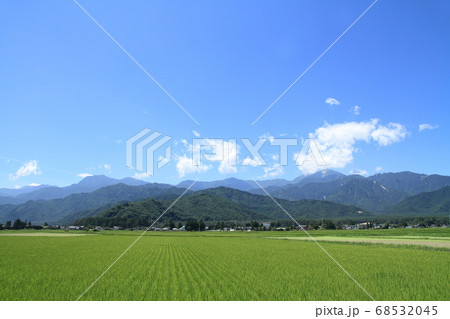 北アルプス山麓　夏の安曇野 68532045