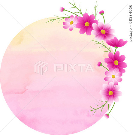 ピンクのグラデーションのコスモスの丸フレーム リース イエローピンクの水彩の背景 秋イメージのイラスト素材