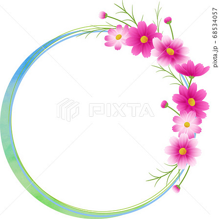 Round frame of pink gradient cosmos, wreath,... - Stock