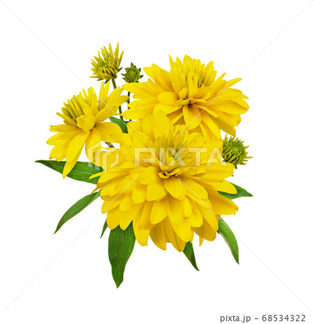 Yellow dissected rudbeckia flowers in a floral 68534322