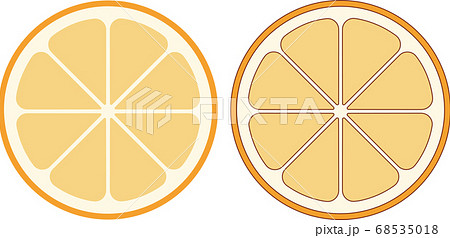 柑橘類 輪切り のイラスト素材