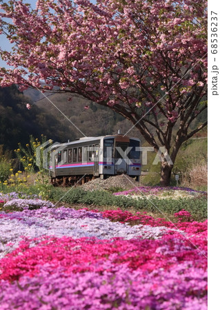 芸備線を走るお花見列車 68536237