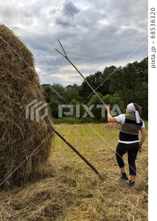 Carpathian fields, harvesting hay for the winter, Carpathian fields, harvesting hay for the winter, 68536320