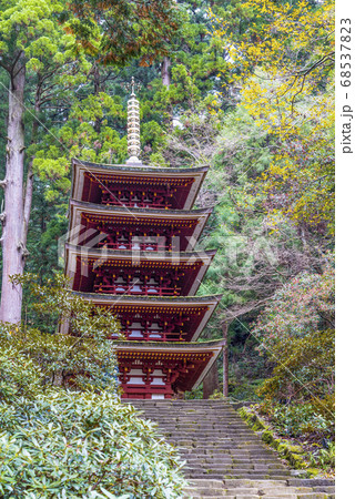 女人高野　晩秋の室生寺　五重塔 68537823