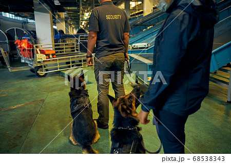 Detection dogs on duty with security guards at airport Detection dogs on duty with security guards at airport 68538343