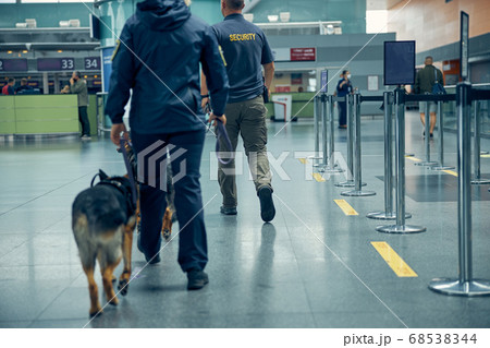 Security workers with German Shepherd dogs walking at airport 68538344