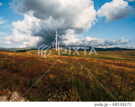 Wind turbines in a yellow field with blue skies and white clouds. 68538372