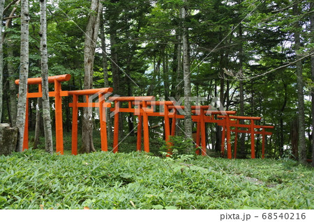 阿寒湖の稲荷神社 68540216