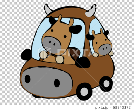 Cattle 02_06 (Parent and child of cattle driven by car) 68540372