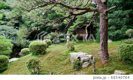 初夏の旧竹林院 緑 初夏の旧竹林院 緑 68540764