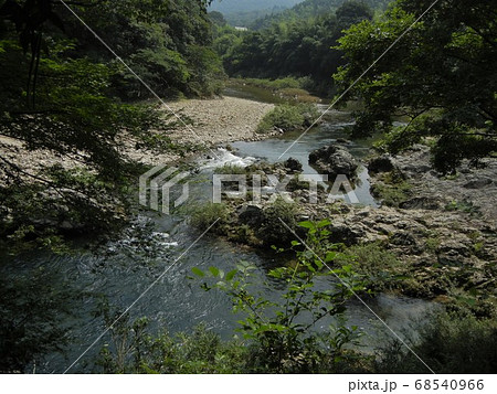 日本の川景色：山口県山口市の長門峡の阿武川 68540966