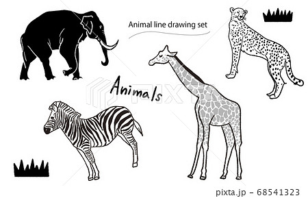 Animal hand drawn line drawing set Animal hand drawn line drawing set 68541323