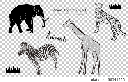 Animal hand drawn line drawing set Animal hand drawn line drawing set 68541323