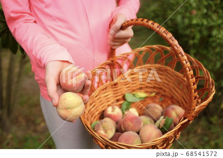 Teenage girl holding peaches and a wicker basket in her hands. Summer 68541572