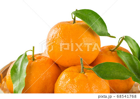 葉付き完熟ポンカン 68541768