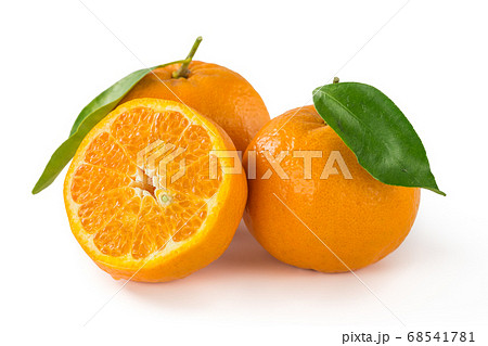 葉付き完熟ポンカン 68541781