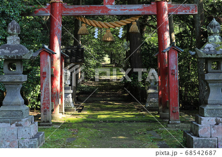 佐渡ヶ島、大膳神社の鳥居 68542687