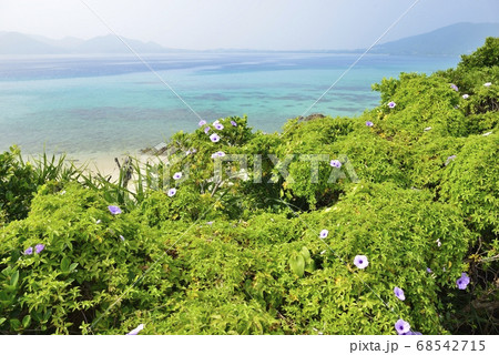 【鹿児島県 奄美大島】倉崎海岸の海 【鹿児島県 奄美大島】倉崎海岸の海 68542715