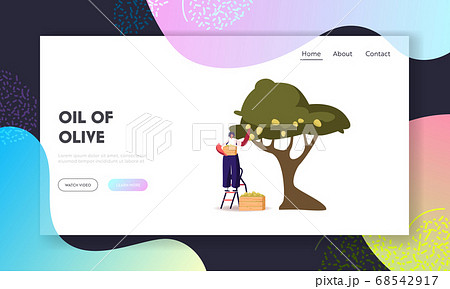 Natural Oil Production Landing Page Template. Woman Collecting Ripe Olives from Branch with Green Berries and Leaves Natural Oil Production Landing Page Template. Woman Collecting Ripe Olives from Branch with Green Berries and Leaves 68542917