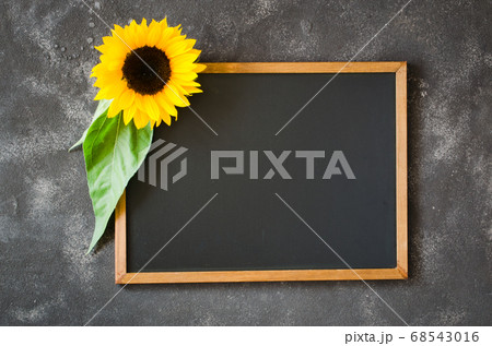 Blank chalkboard on dark stone with sunflower. Blank chalkboard on dark stone with sunflower. 68543016