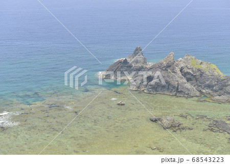 【鹿児島県 奄美大島】大金久ふれあいパークの珊瑚礁とソテツの群生 【鹿児島県 奄美大島】大金久ふれあいパークの珊瑚礁とソテツの群生 68543223