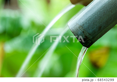 rain gutter on blurred green leaves of plant. 68543299