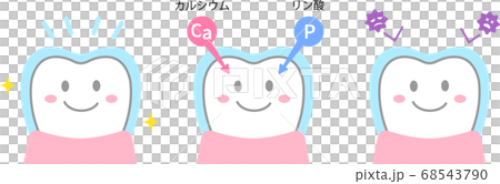 フッ素の効果　歯 68543790