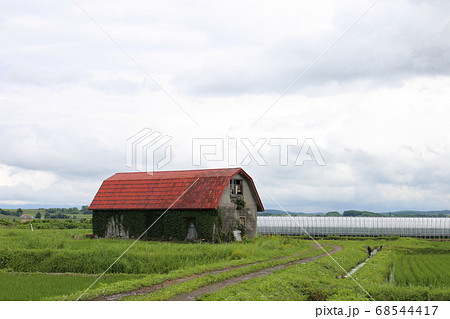 北海道　上川地方　水田地帯に残る古い牛舎 68544417