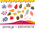 かわいい秋の植物の素材集 68545678