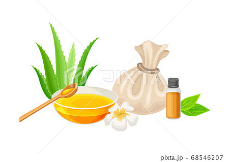 Spa Treatment with Essential Oil in Bowl and Aloe Plant Vector Composition 68546207