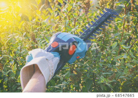 Hand with garden battery shears Hand with garden battery shears 68547665