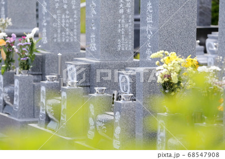 お墓の仏花 68547908