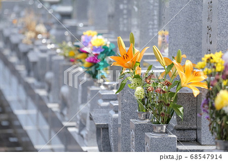 お墓の仏花 お墓の仏花 68547914