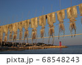 浦項 イカ 灯台 68548243
