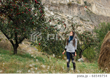 Young beautiful woman walking elegant among apple trees with big red apples in garden. Background of rocky mountains 68549754