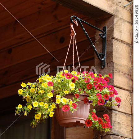 flower basket hang on country house porch  68549880