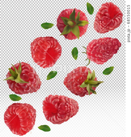 Raspberry falling from different angles. Flying raspberry with green leaf on transparent background. 3D realistic raspberry. Raspberry falling from different angles. Vector illustration. 68550015