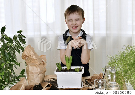 The boy is engaged in the planting of hyacinths. 68550599