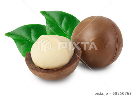 macadamia nuts isolated on white background with clipping path and full depth of field 68550768