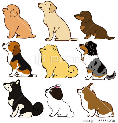 Dog Dogs Vector Stock Illustration