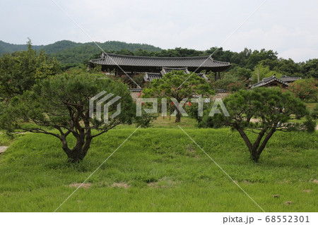 夏 書院 安東 68552301