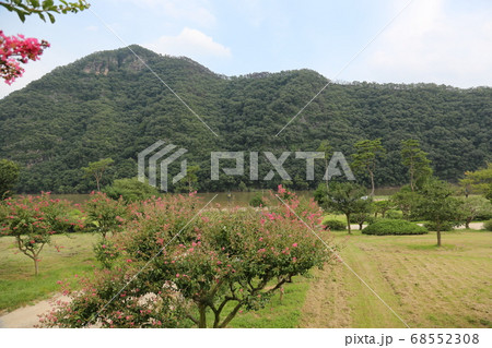 景色 風景 夏 68552308