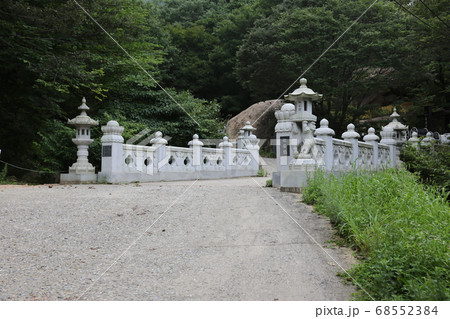風景 自然 樹木 68552384